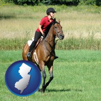 new-jersey map icon and an English-style rider atop a handsome brown horse