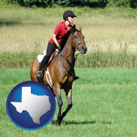 texas map icon and an English-style rider atop a handsome brown horse