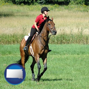 an English-style rider atop a handsome brown horse - with South Dakota icon